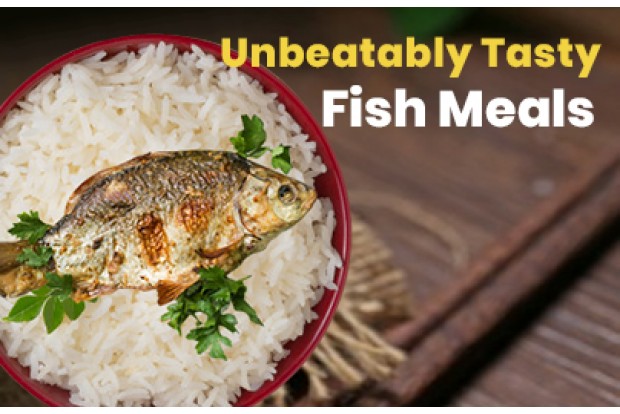 Fish Meals